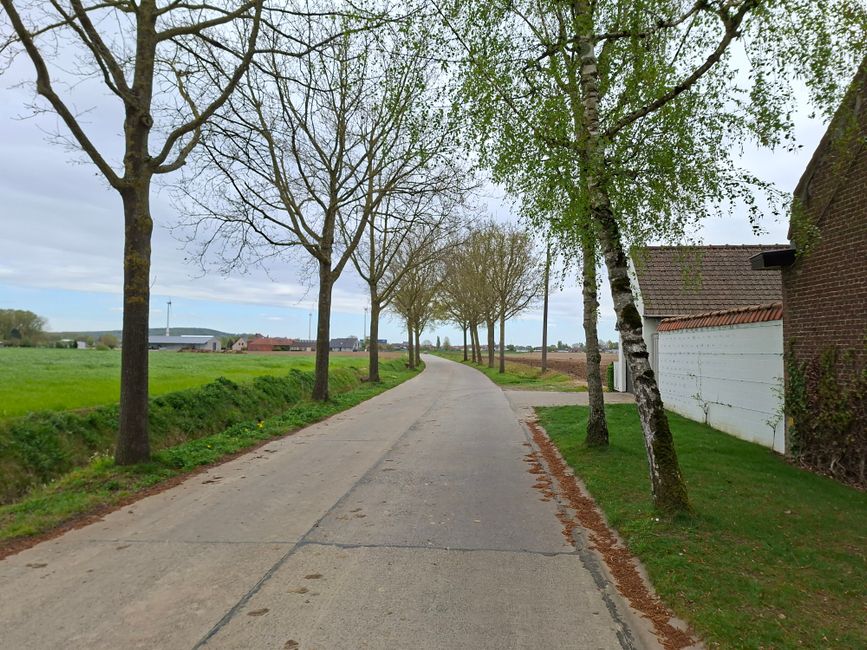 winterbanden in Kortrijk